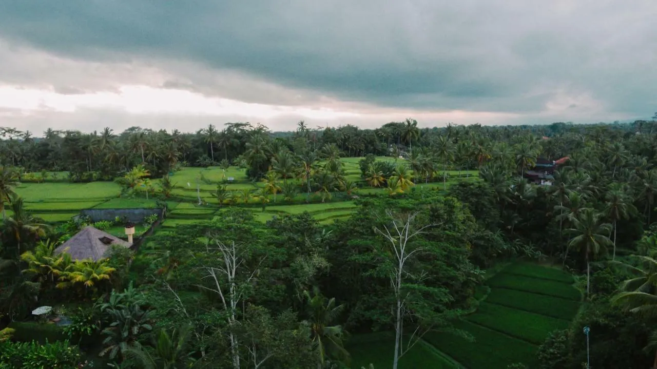 River Sakti Ubud By Prasi